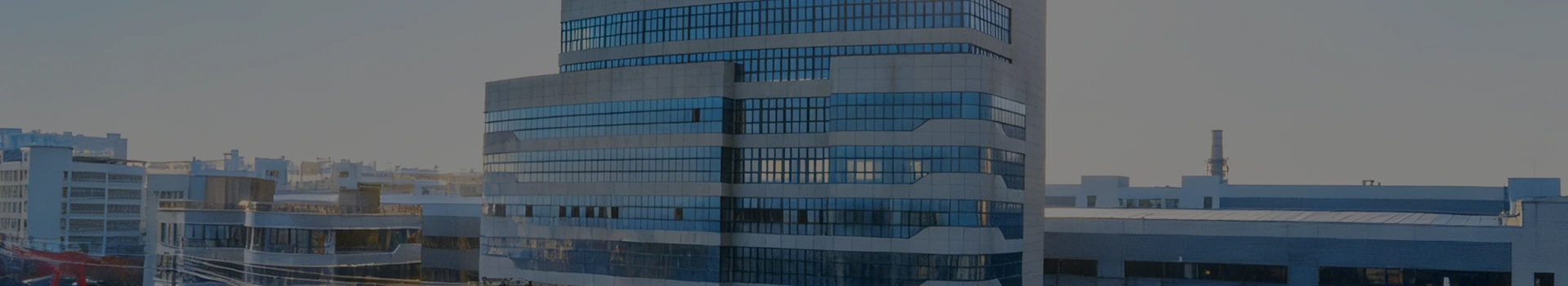 Patakaran sa Privacy